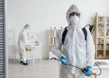 Buhar ve Sıcak Uygulama ile Kimyasal Kullanmadan Böcek İlaçlama – Evden Çıkmadan Kalıcı Çözüm